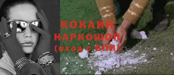 прущие грибы Волосово