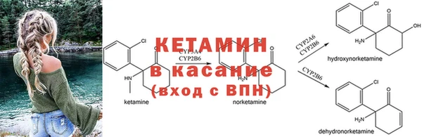 прущие грибы Волосово