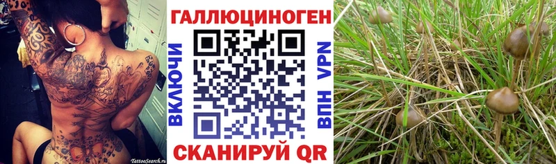 Галлюциногенные грибы мухоморы Зубцов